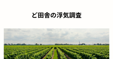 ど田舎なんですが、浮気調査はできますか？