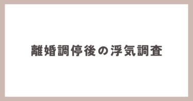 離婚調停を起こされた後の浮気調査。